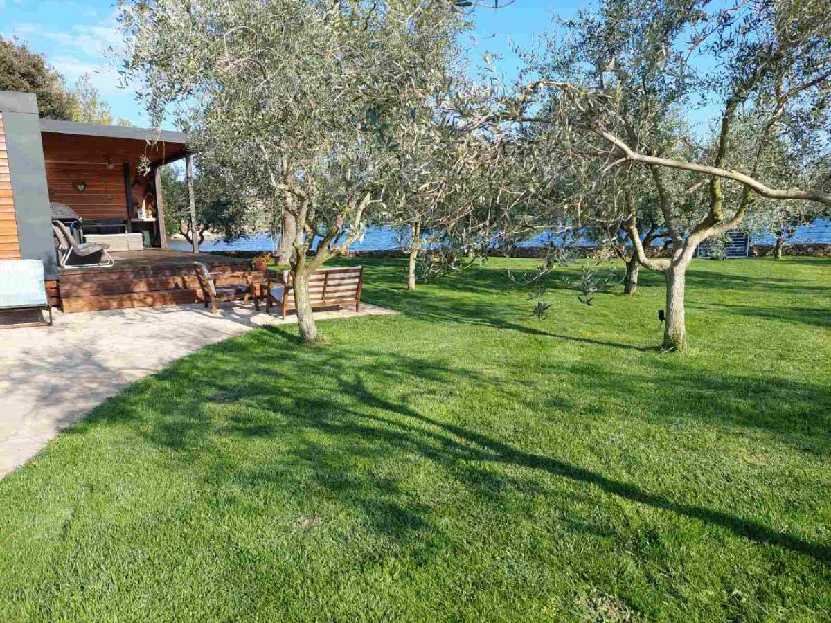 Beach House Ive With Jacuzzi, Pool, Playground And Bbq In An Olive Grove With A Beach, Pomer - Istria Dış mekan fotoğraf