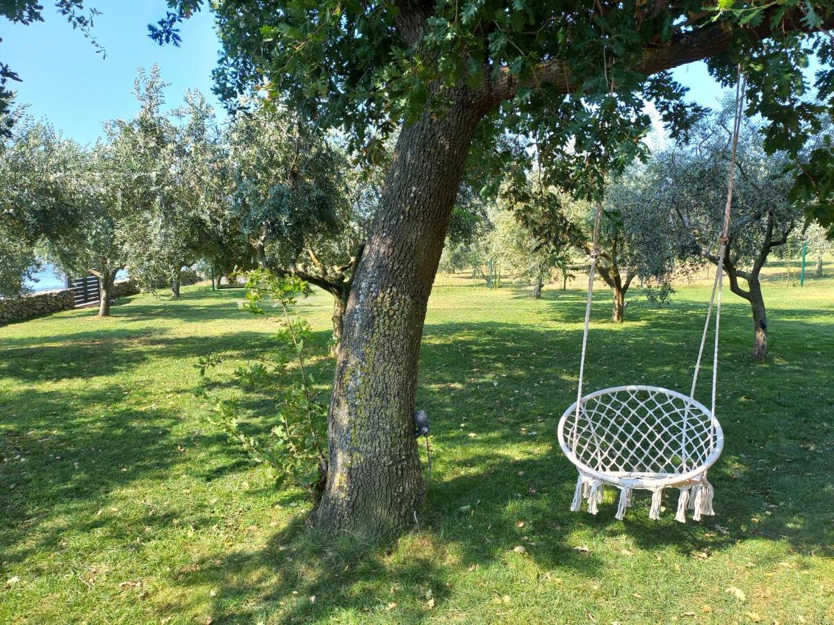 Beach House Ive With Jacuzzi, Pool, Playground And Bbq In An Olive Grove With A Beach, Pomer - Istria Dış mekan fotoğraf