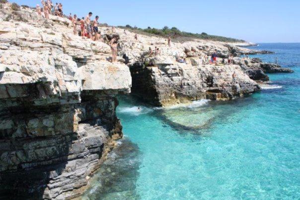 Beach House Ive With Jacuzzi, Pool, Playground And Bbq In An Olive Grove With A Beach, Pomer - Istria Dış mekan fotoğraf
